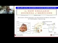 Mike Makrigiorgos - Detection and sequencing of rare mutations using mutation enrichment via COLD PC