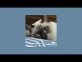Download Lagu jagger finn — vas〔 sped up/nightcore 〕