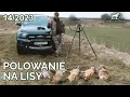 Download Lagu SUDECKA OSTOJA 14/2023 Jak poluję na drapieżniki? Wabimy lisy - Fox hunting