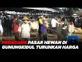 Download Lagu Pedagang Pasar Hewan di Gunungkidul Rela Turunkan Harga Demi Ternaknya Terjual #iNewsSiang 07/07