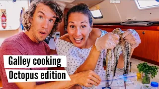 How I (eventually) managed to cook a Portuguese octopus  #26