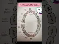 Must-Have Teething Chart for your baby! #shorts #ytshorts