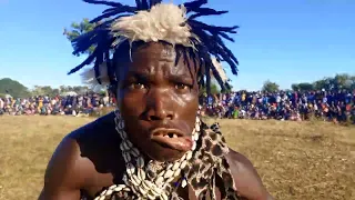 nelemi mbasando live sigili amjibu kinyonga u0026 2023