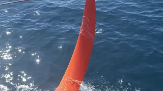 NEWSFLASH Foil Damage 11th Hour Racing. Request to Change Foils. Will they Have to Withdraw?