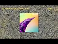 Rodriguez Jr. & Liset Alea - Amplify