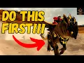 The FIRST 5 THINGS you should do at max level in Guild Wars 2