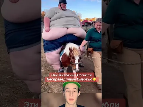 Эти Животные Погибли Несправедливой Смертью!😢 #shorts #животные #медведь #горилла