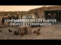 Grupo Exterminador - Contrabando En Los Huevos (Visualizer)