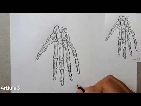 Download MP3 Como dibujar LOS HUESOS DE LA MANO  | How to draw HAND BONES