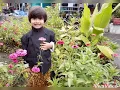 Download Lagu Mother and son
