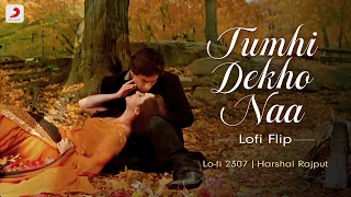 Download Tumhi Dekho Naa - Lofi Flip | @lofi2307 | Bollywood Lofi | Kabhi Alvida Naa Kehna | Sony Music India MP3