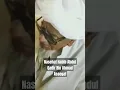 Download Lagu Video Langka || Nasehat Habib Abdul Qadir Bin Ahmad Assegaf #shorts #pecintahabaib