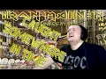 Download Lagu Caught somewhere in time, Iron Maiden, Reaction