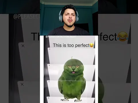Try not to laugh challenge 586😅 #shorts #funny #trending