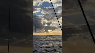 Sun Beams
