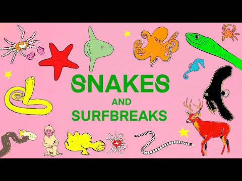 SNAKES and SURF BREAKS - Indonesia (EXTENDED EDITION TRAILER)