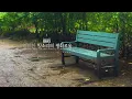 The peaceful and gentle sound of rain that soothes your complicated mind