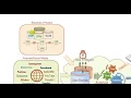 Ch6-3 Foundations of Business Intelligence Databases and Information Management Gharaibeh