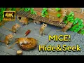 Download Lagu Cat TV Mice: Cozy Log \u0026 Brick World — Gerbils Playing Hide \u0026 Seek | 4K Videos for Cats