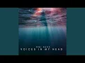 Lagu Voices in my head (Remix)
