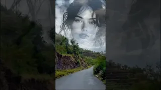 بحر ابوجريشة طال الطريق  بحر ابوجريشة طال الطريق