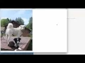 How to Use the CSS clip-path Property