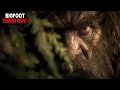 Download Lagu Bigfoot Territory? Campers Discover Chilling Evidence