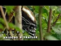 Download Lagu Alien Earth: EP. 4 - NEW TRAILER | 4K