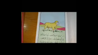 حكاية حيلة خروف صغير 