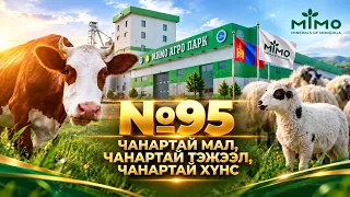 №95 | Баялаг бүтээгч нэвтрүүлэг | '"Мимо" брэндийн үүсгэн байгуулагч О.Дашдулам
