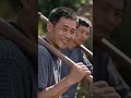 特種兵退伍回村養豬，全村嘲笑他沒出息！誰知他用軍事化管理養出極品黑豬，豪門千金搶著簽千萬訂單！#ai #逆袭 #drama