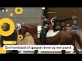 Download Lagu Dit is voltige: turnen op de rug van een paard
