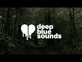 forest blakk, christina perri - if you love her (lyrics)