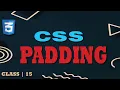 CSS Tutorial Class 15 Perfecting Padding in CSS Beginner s Guide to CSS Padding