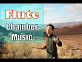 Download Lagu Schubert, Franz | Arpeggione Sonata A minor, D.821 - 1. Allegro Moderato