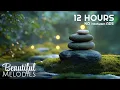 Relaxing Spa Music for Anxiety and Stress Relief Meditate Heal and Sleep Instantly