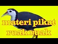 Download Lagu Ruak Ruak Materi Pikat Tengkoah Jossssssssss