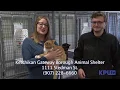 Pet of the Month March 2019