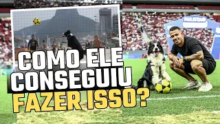 Ensinei meu cachorro jogar!