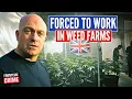 Human Traffickers Illegal Labour And UK Weed Farms Uncovered | Ross Kemp: Extreme World | S1 EP5