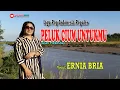 Download Lagu PELUK CIUM UNTUKMU-(Dian Piesesha)-Cover-Studio DONBERS MALAKA Chanel (SDM)-TV Malaka