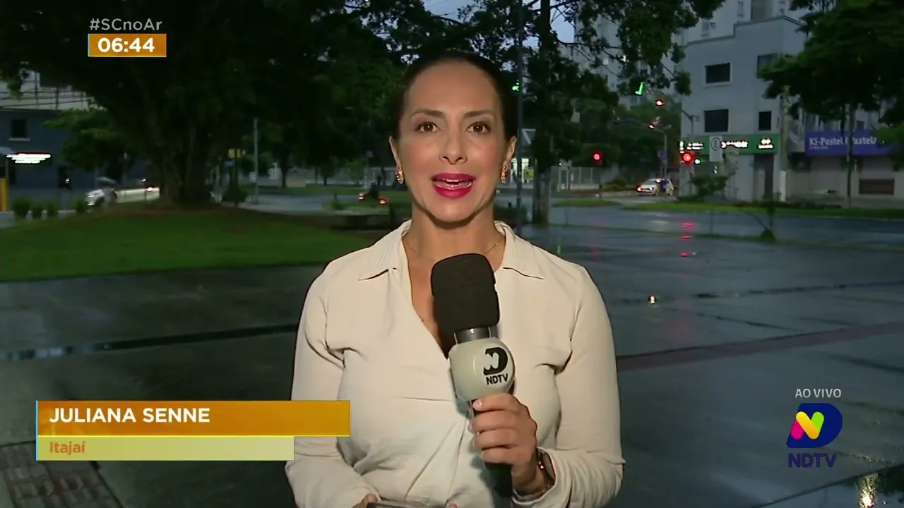 Primeira importação de 'cannabis' medicinal em SC começará em Navegantes