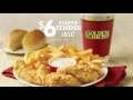 Golden Chick - 6 Tender Meal 30