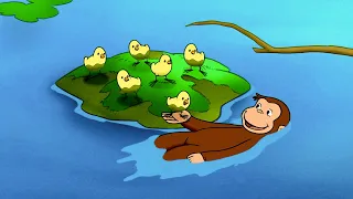 ¡Jorge al rescate! 🐥🙉 | Episodios Completos | Jorge El Curioso En Español