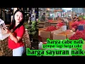 Download Lagu HARGA CABE DAN SAYURAN HARI INI NAIK HATI HATI #PASAR INDUK CIBITUNG#1 JUL 2025