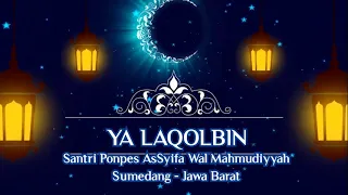 Download Qasidah Ya Laqolbin - Group Hadroh Asy-Syifaa Wal Mahmudiyah ( Sumedang ) MP3