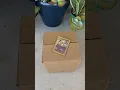 Download Lagu top of box #alakazam #pokemonchannel #pokemoncontent #pokemontcg #collectiblecards