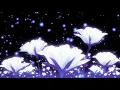 Download Lagu billie eilish - WILDFLOWER (slowed + reverb)