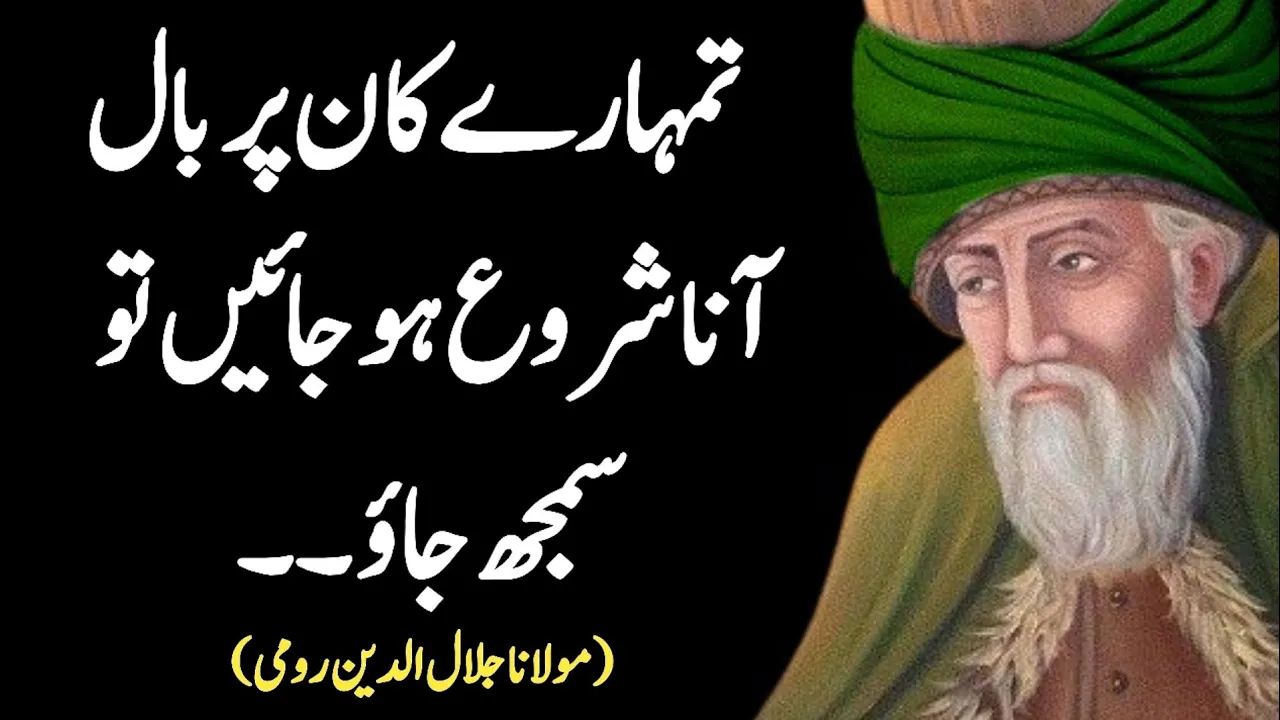 Tumharay Kaan Par Baal Anaa Shuru Ho Jayein To Samjh Jao Bahut Jald |molana rumi quotes||| |qadar