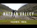 Nafran Valley Trek | Kashmir Treks | Indiahikes | Nazare